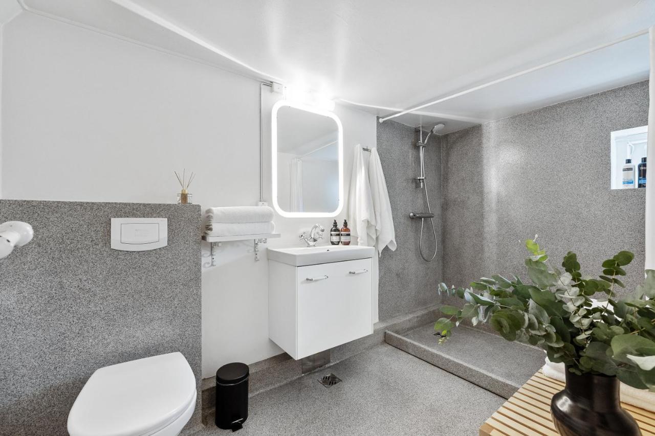 Luxury Villa In Downtown Ρέυκιαβικ Εξωτερικό φωτογραφία